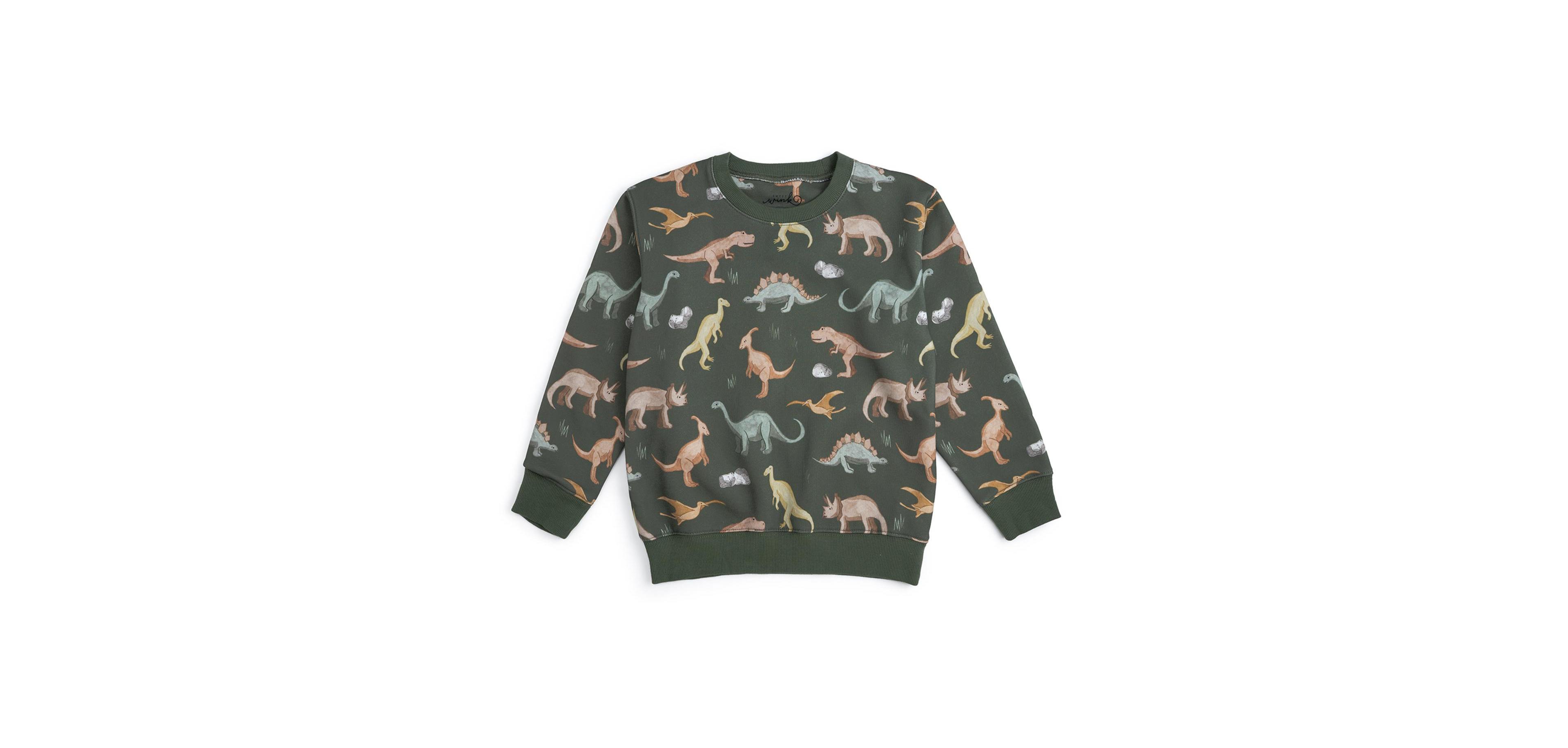 Sweet Wink Little Boys Dinosaurs Rock Sweatshirt