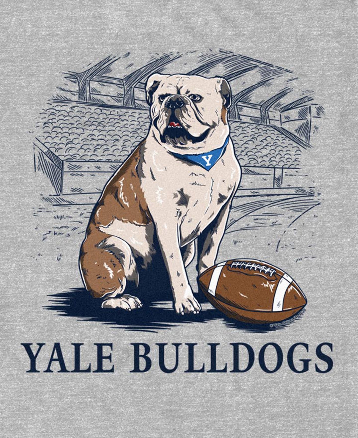 Мужская футболка Fifth Sun Yale Bulldog Graphic, цвет: Серый — фото 3