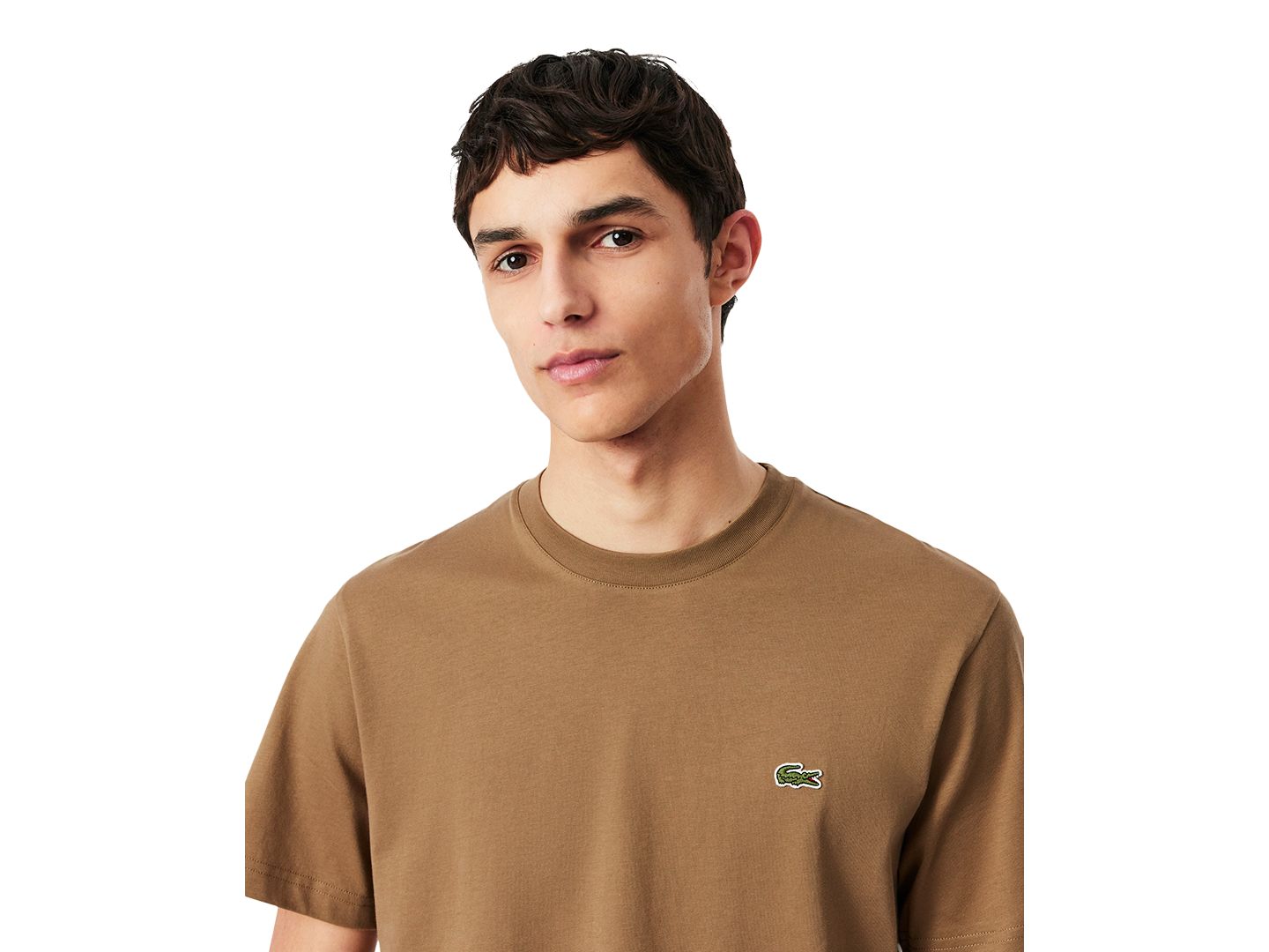 Мужская футболка Lacoste Classic-Fit Short-Sleeve Logo Graphic, цвет: Тёмный коричневый — фото 3