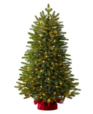 BH Fraser Fir 3.5 LEDCF PI