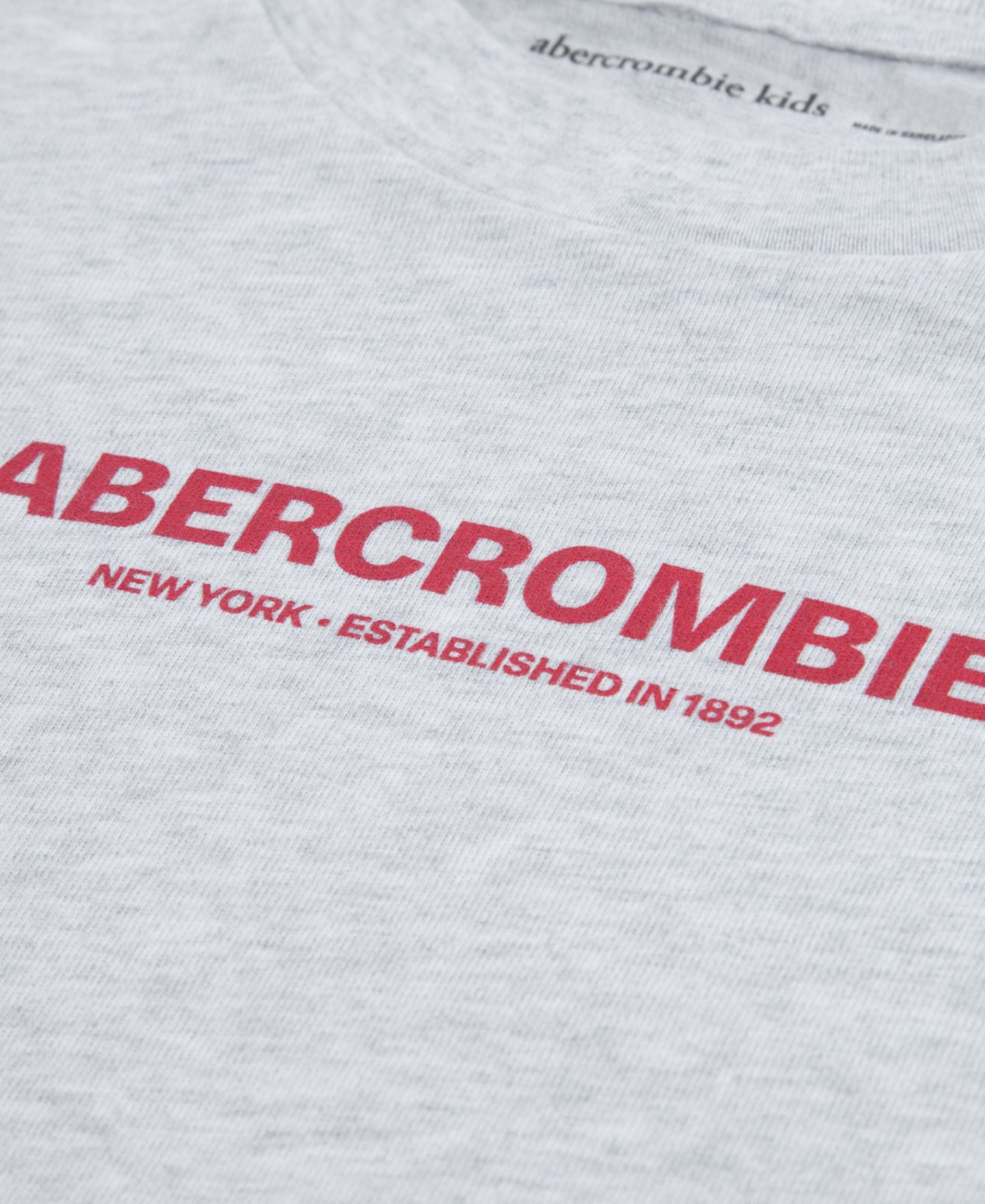 Футболка abercrombie kids Long-Sleeve Graphic для мальчиков, цвет: Светлый серый меланжевый — фото 3