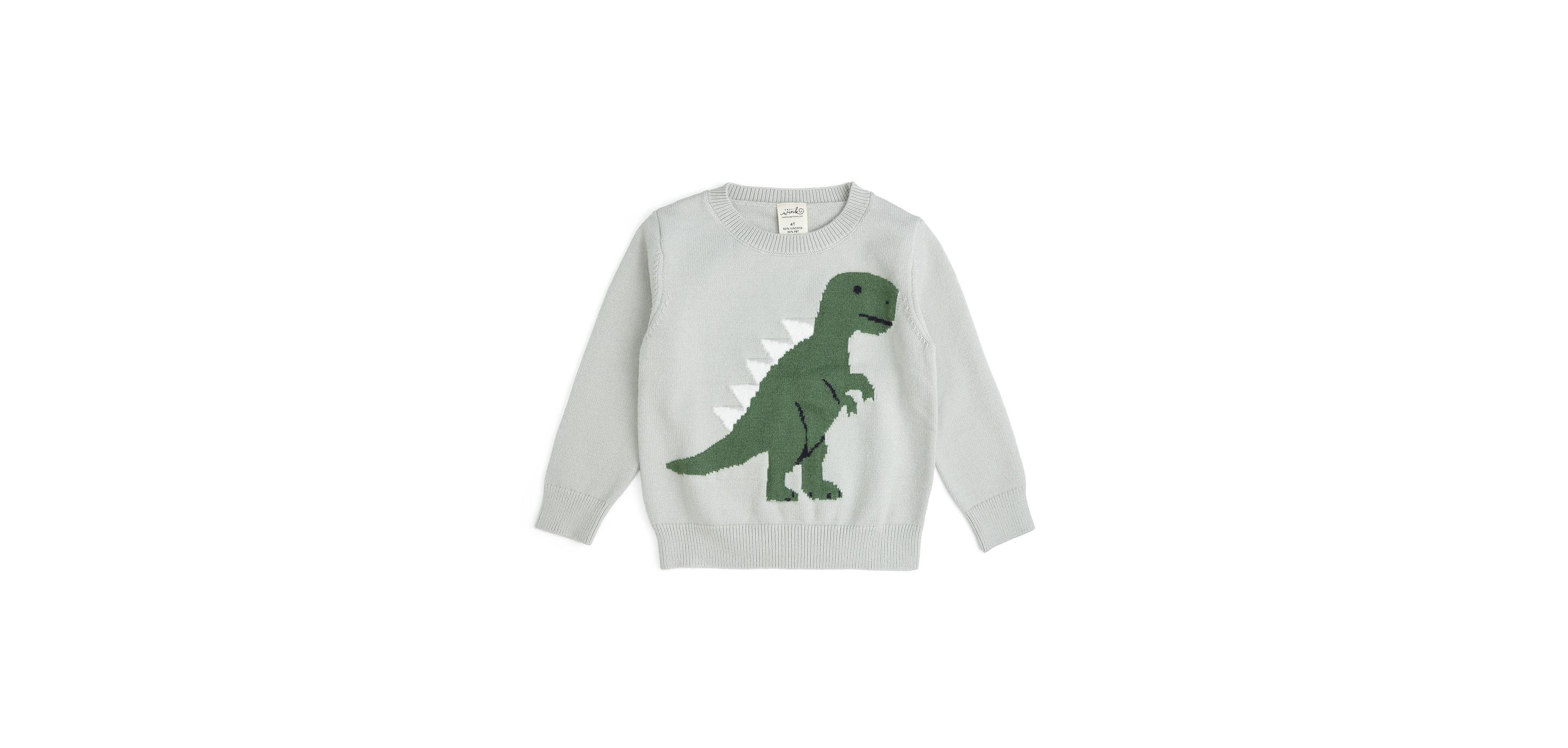 Sweet Wink Little Boys Dinosaur Sweater