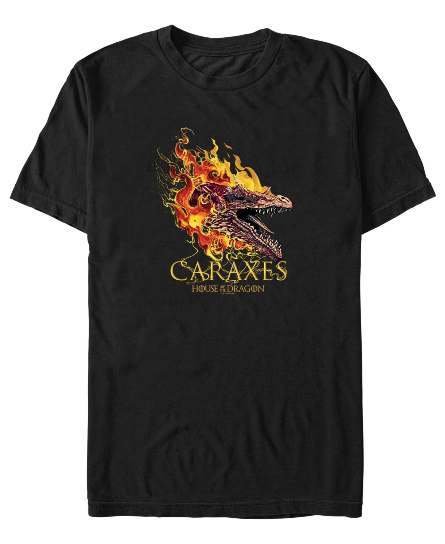 Мужская футболка Fifth Sun House of the Dragon Caraxes The Dragon, цвет: Чёрный — фото 1