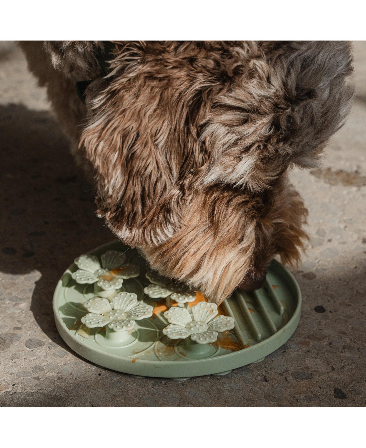 Dexypaws Hide and Seek Slow Feeder