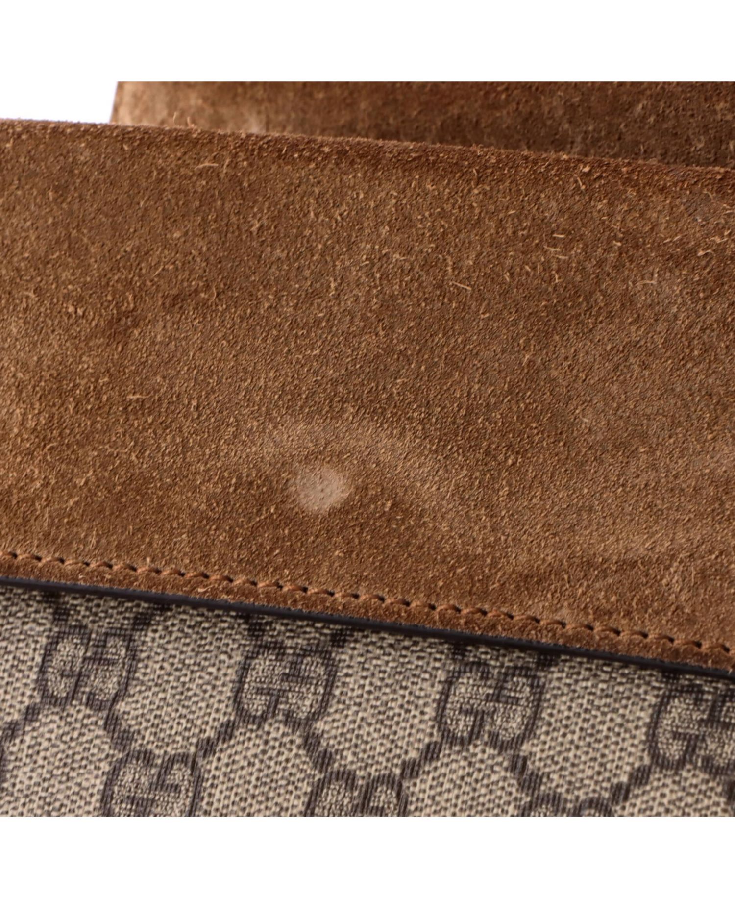 Mini Dionysus Bag GG Coated Canvas