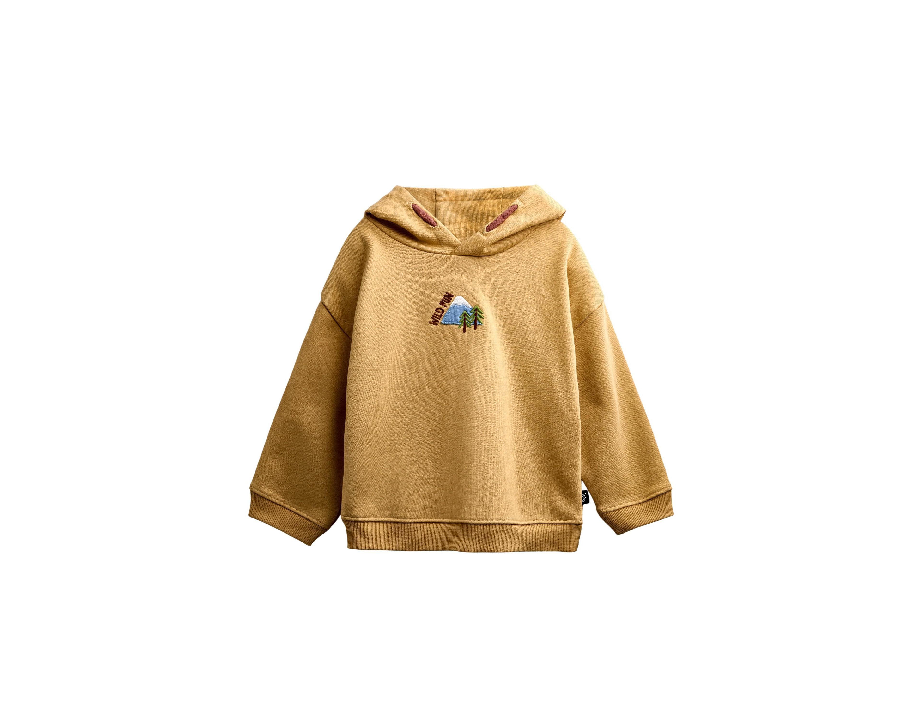 JoJo Maman Bebe Toddler Boys' 2T-5T Explorer Embroidered Mountain Motif Long-Sleeve Hoodie