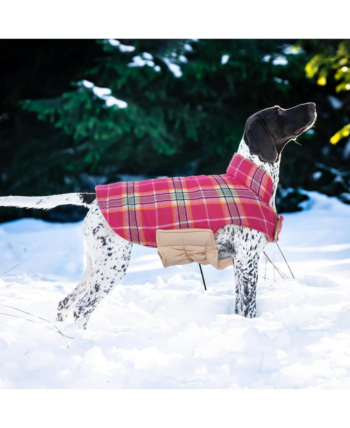 Reversible Waterproof Fleece-Lined Dog Jacket with Leash Access | Cold Weather Coat