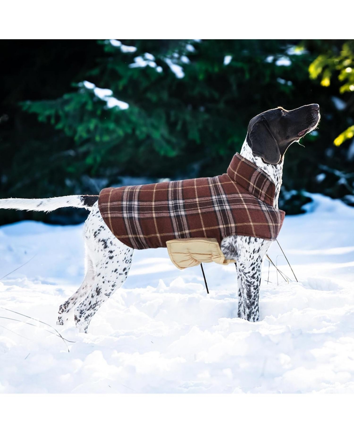 Reversible Waterproof Fleece-Lined Dog Jacket with Leash Access | Cold Weather Coat for Medium Dogs