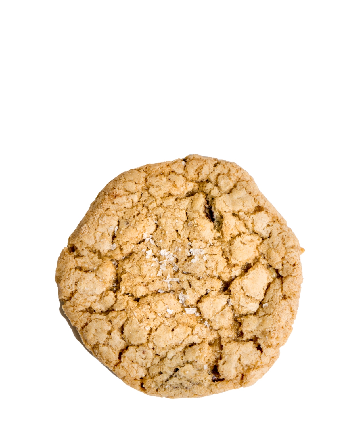 Salt of the Earth Bakery Fresh Baked Oatmeal Chocolate Chip Cookies Gourmet Boxes, 16-Piece