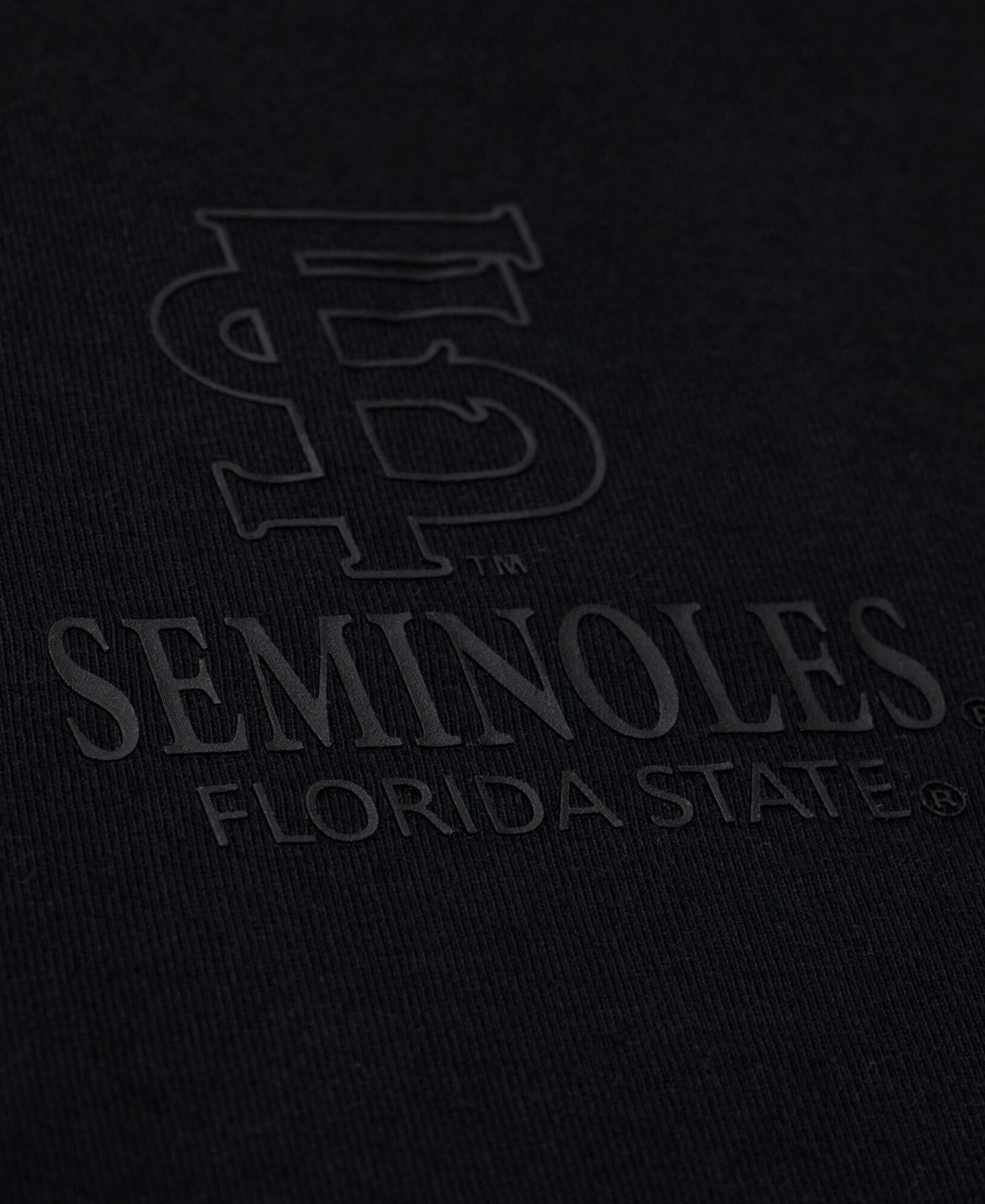 Мужская футболка Mitchell & Ness Black Florida State Seminoles Monochrome Icon — фото 3