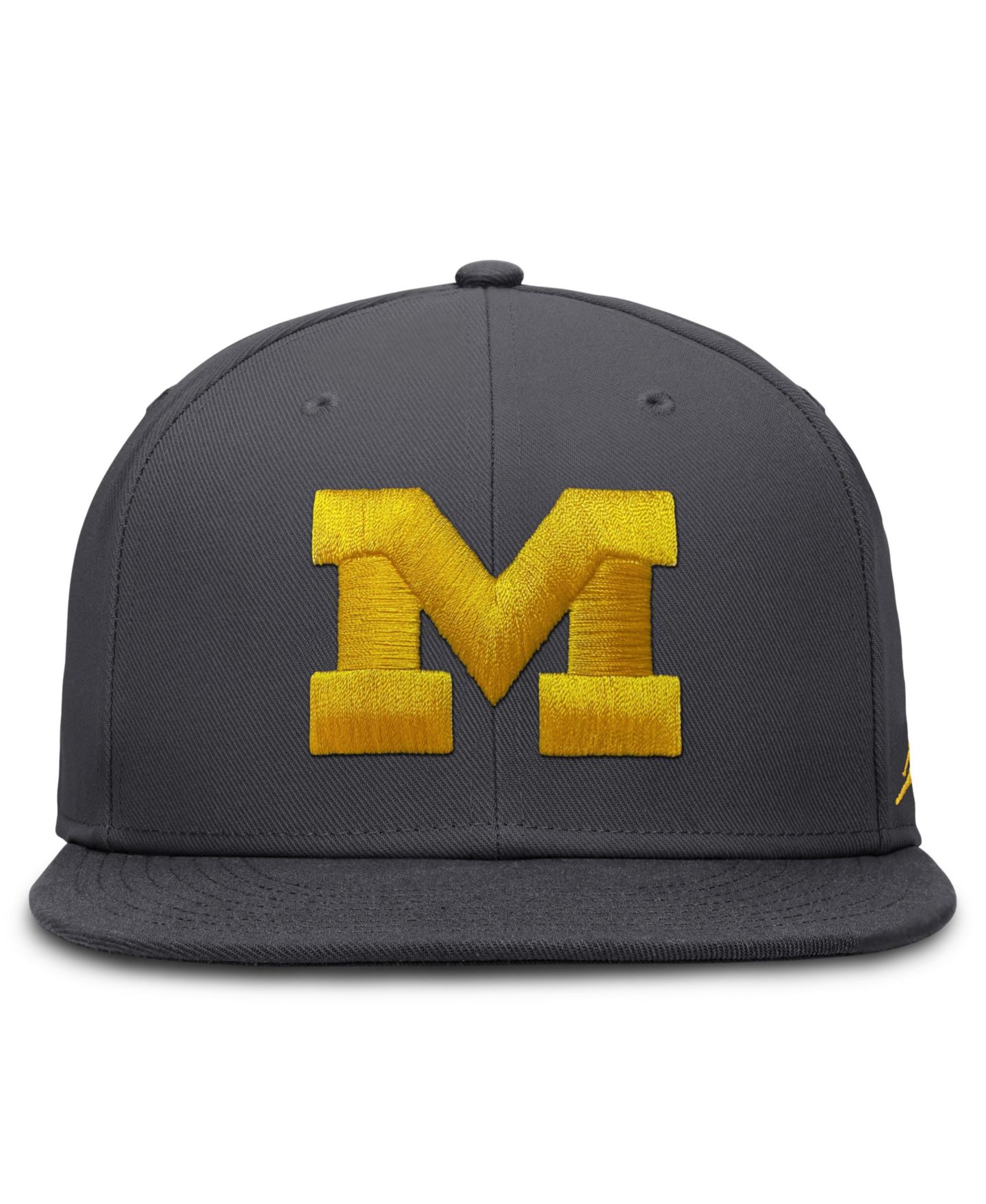 Мужская кепка Jordan Nike Anthracite Michigan Wolverines Pro Dri-FIT Fitted Hat — фото 4