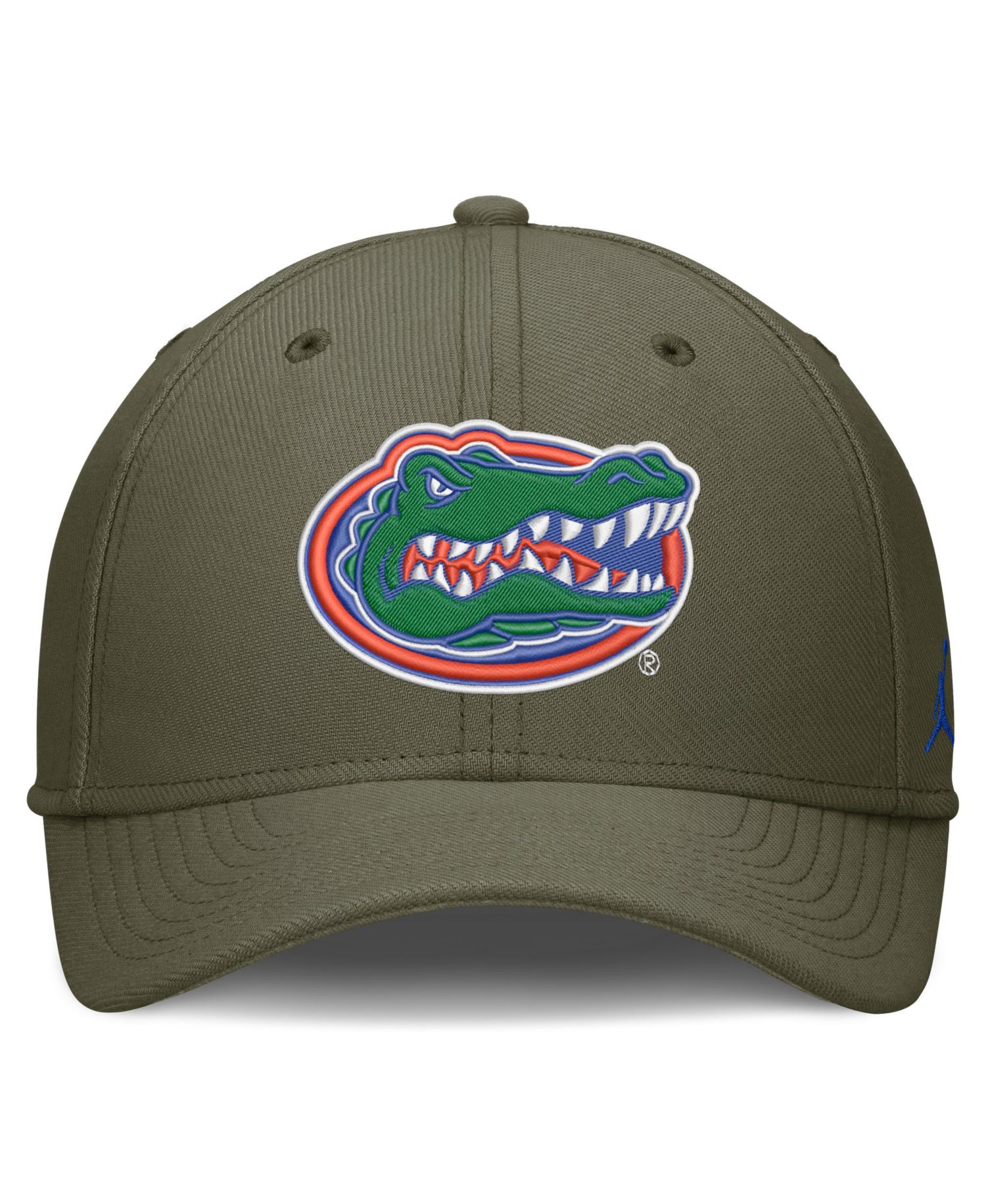 Men's Olive Florida Gators Primetime SwooshFlex Dri-FIT Hat