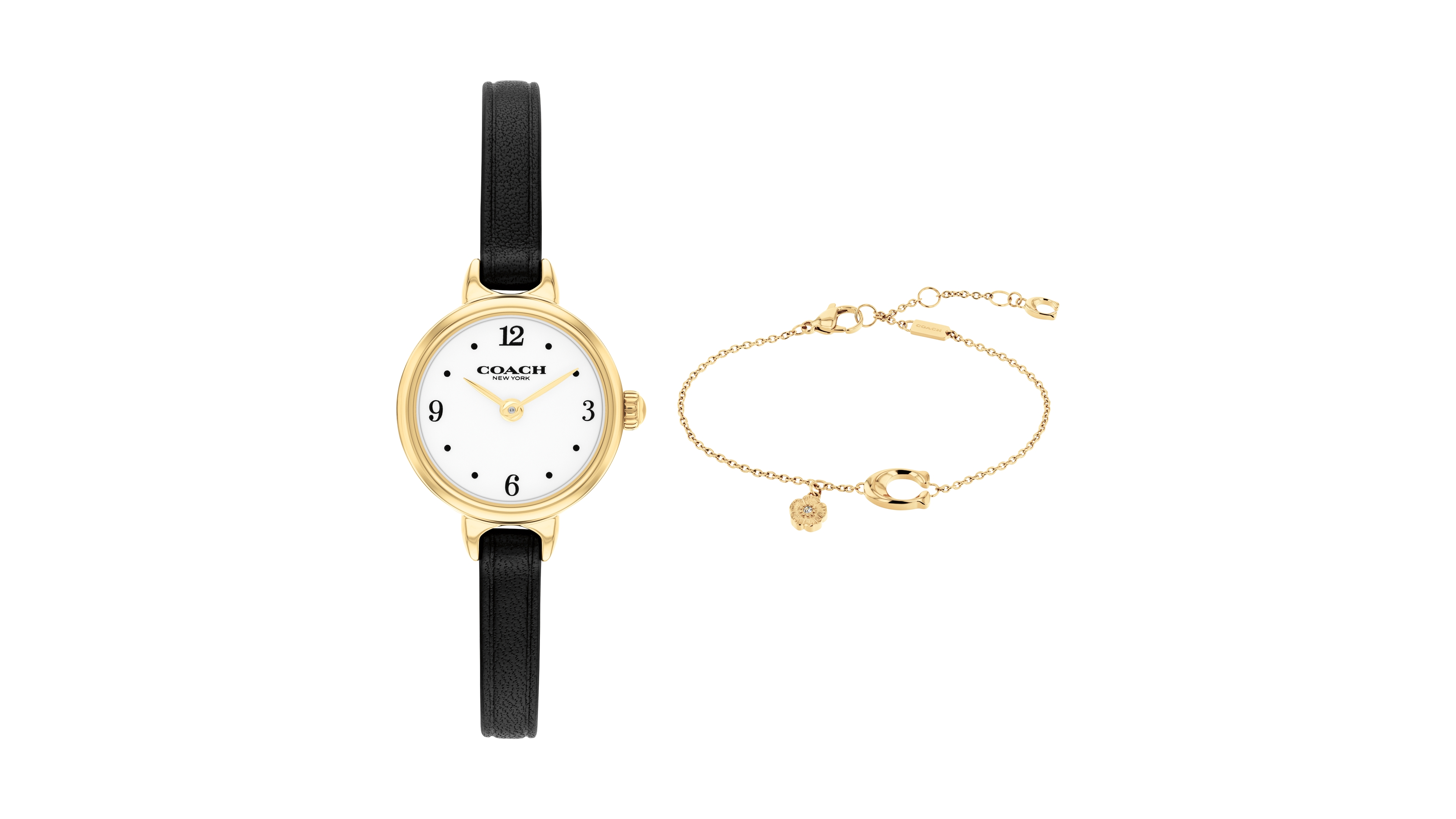 Coach Women's Quartz Iris Black Calfskin Watch 22.5mm
