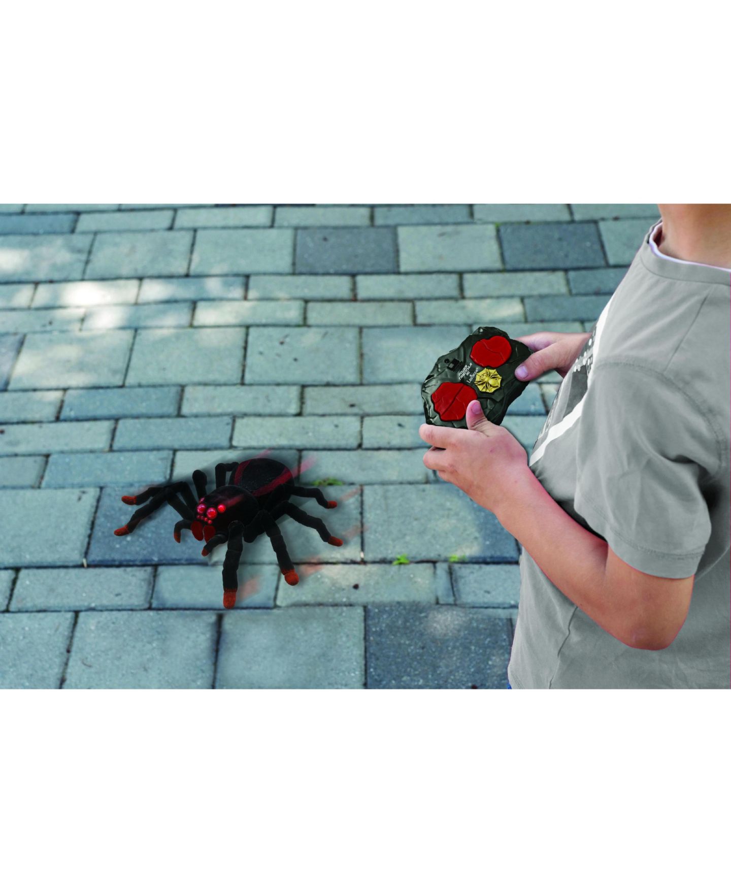Детская игрушка Lexibook Power Tarentula RC Realistic Remote-Controlled Tarantula with Light Effects, цвет: Чёрный — фото 9