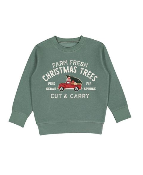 Толстовка Sweet Wink Farm Fresh Christmas Tree Patch для мальчиков, цвет: Шалфейный зелёный