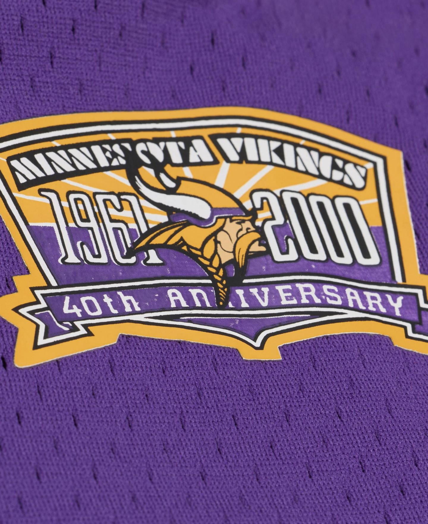Мужская футболка Mitchell & Ness Randy Moss Purple Minnesota Vikings Retired Player Name Number Mesh — фото 5
