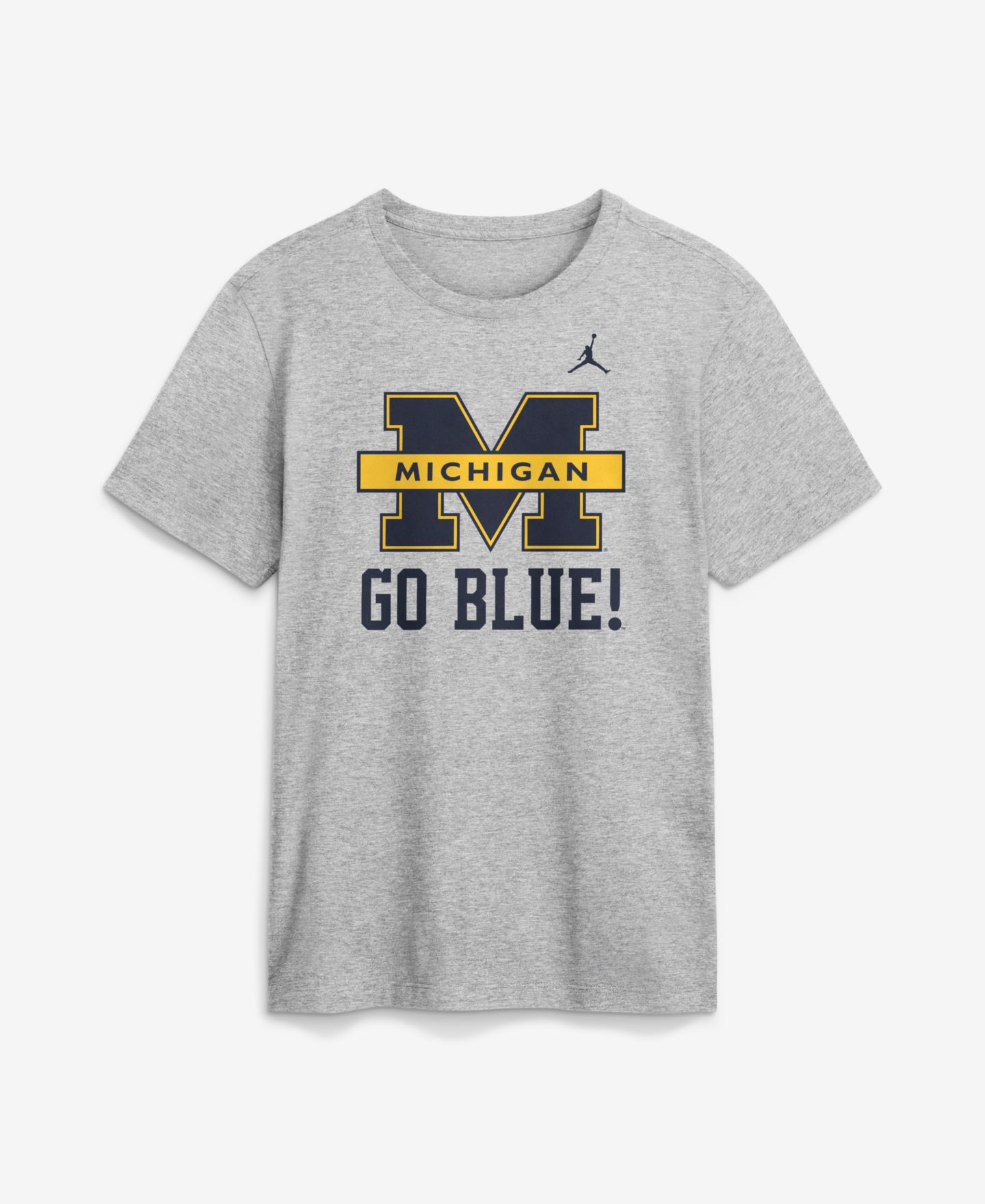 Мужская футболка Jordan Gray Michigan Wolverines Primetime Logo Mantra — фото 1