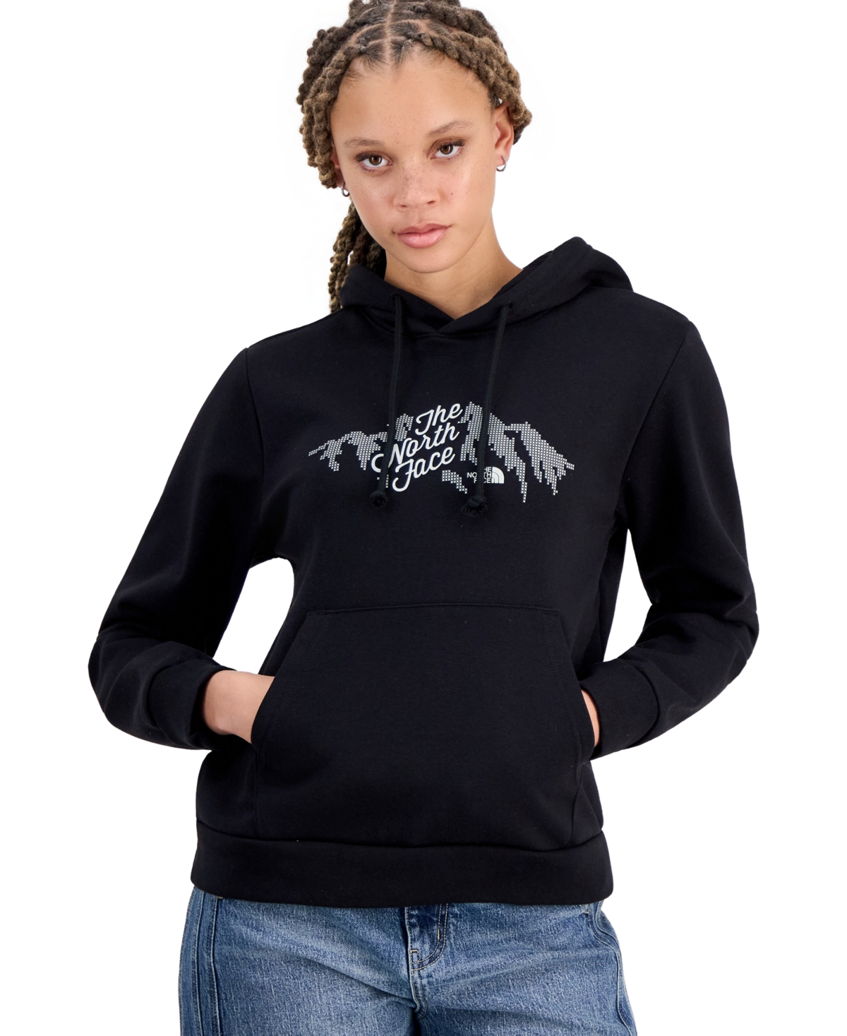 The North Face Women's Evolution Sparkle Graphic Cotton Hooded Sweatshirt