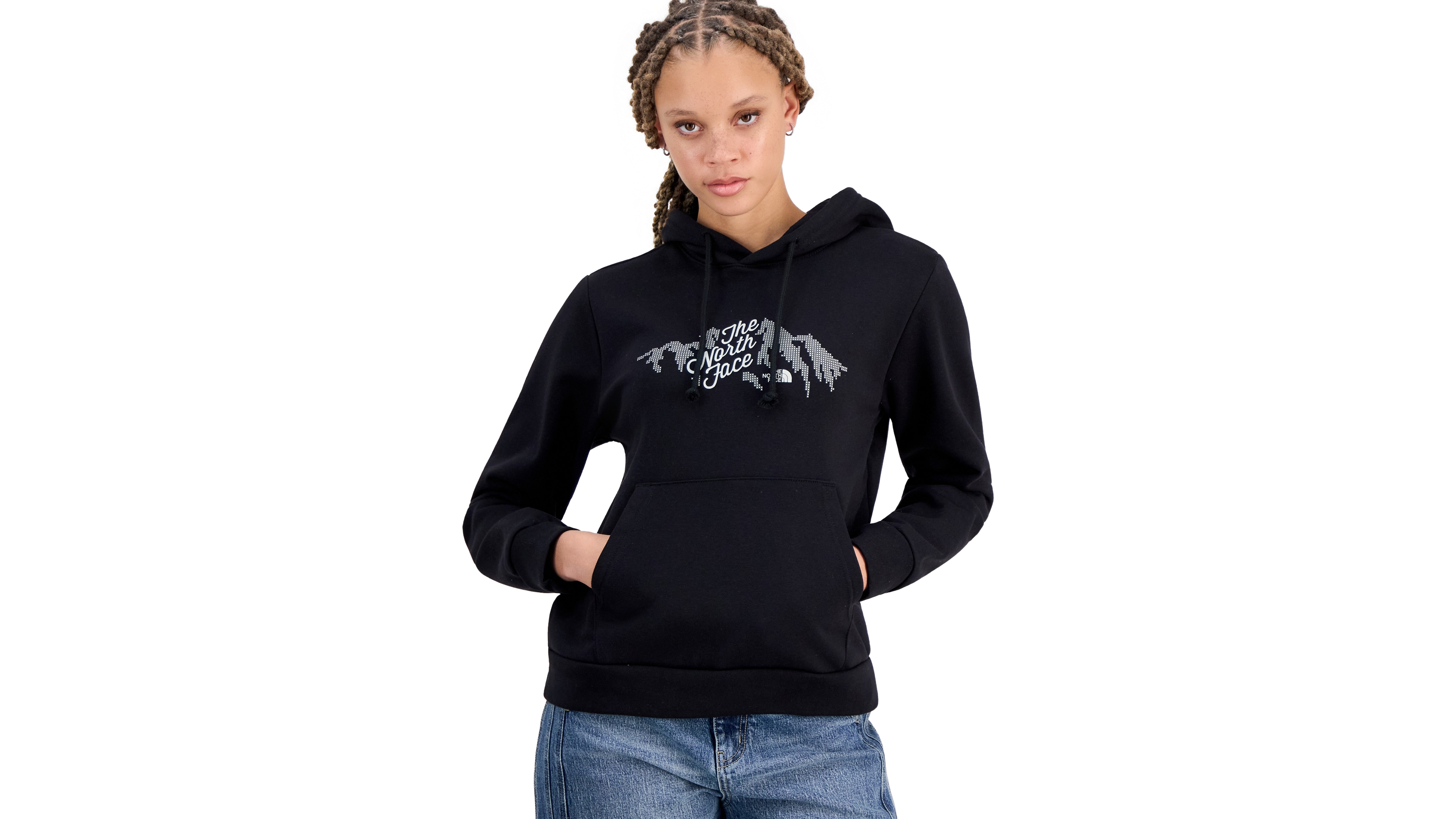 The North Face Women's Evolution Sparkle Graphic Cotton Hooded Sweatshirt