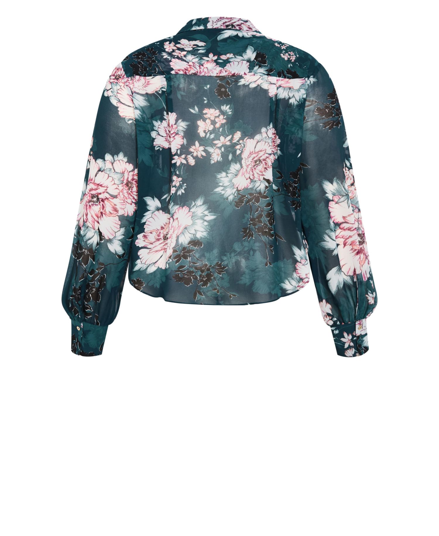 Plus Size Janine Collared Long-Sleeve Tie-Front Blouse