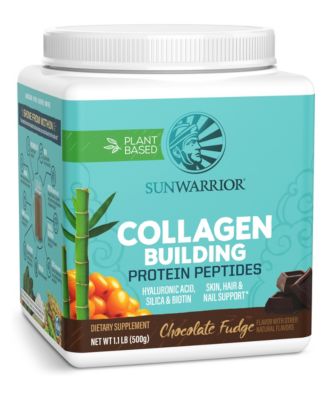 Collagen Building Protein Peptides Powder, Chocolate Fudge Flavor, 500 Gram