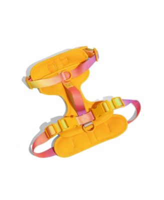 Dog Harness