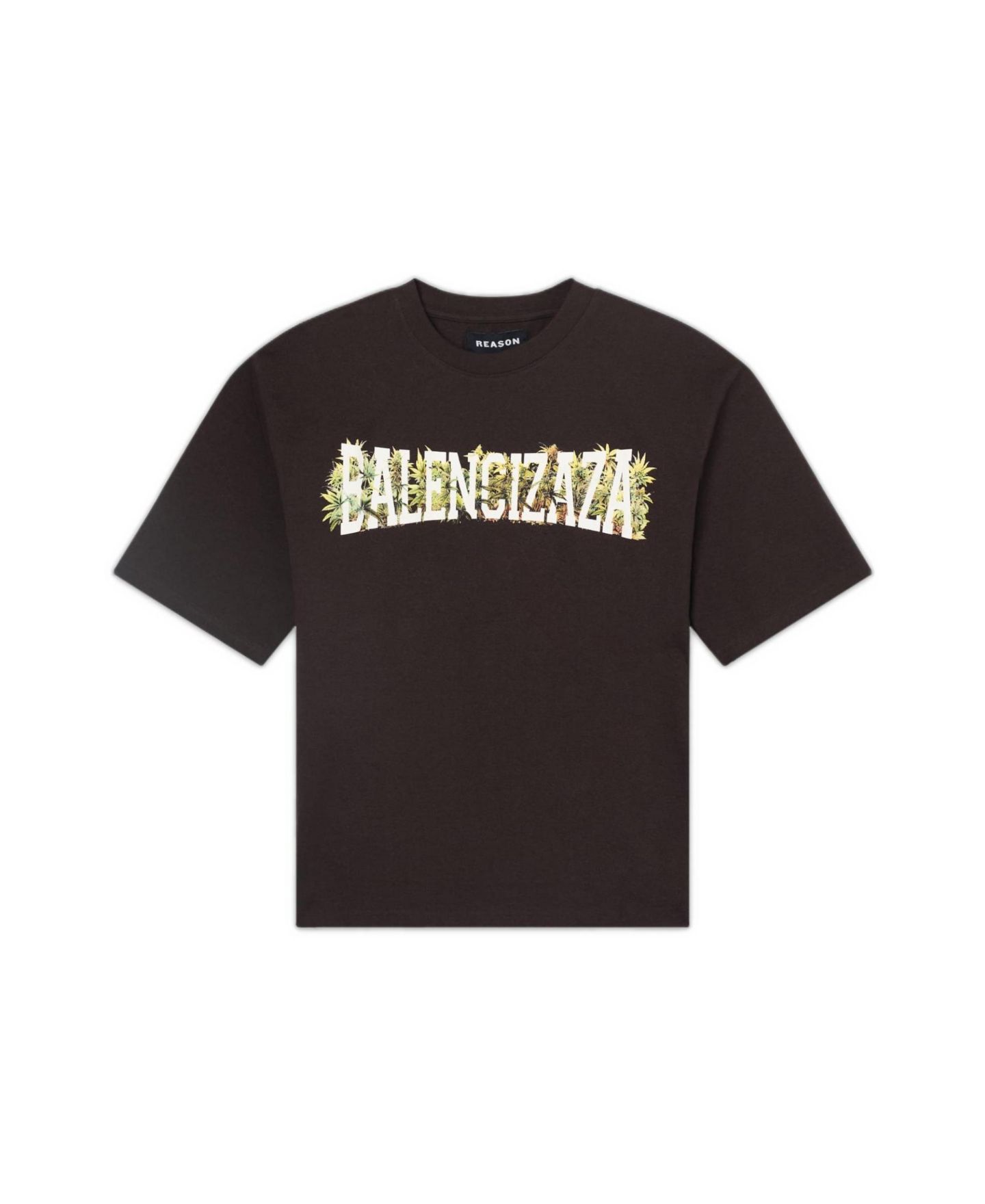 Мужская футболка Reason Balencizaza Graphic Short Sleeve, цвет: Коричневый — фото 2