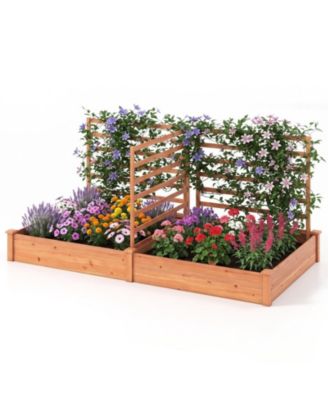Two-Box Raised Garden Bed Featuring Three Climbing Trellises