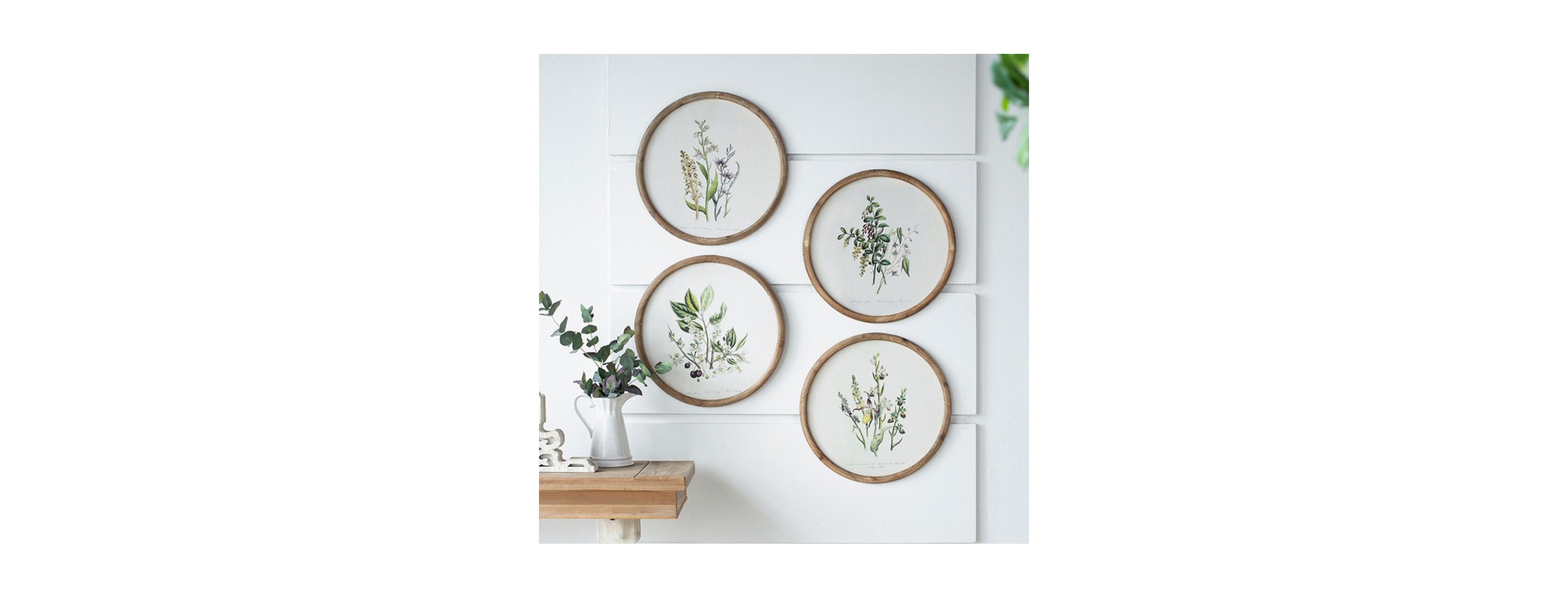 Laoties 19.7" W Rustic Round Botanical Illustration Framed Wall Art Set of 4