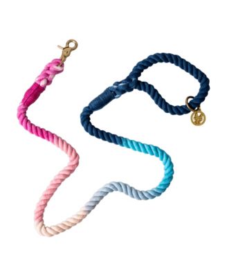 Maddox Rope Dog Leash 4ft