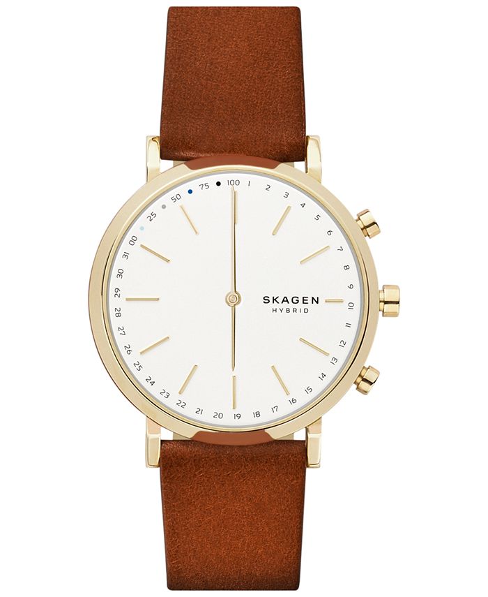 skagen hald review