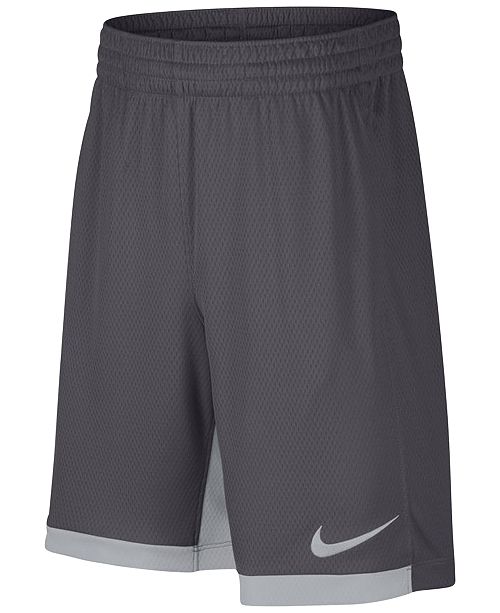 Nike Big Boys Dri Fit Trophy Training Shorts Reviews Shorts