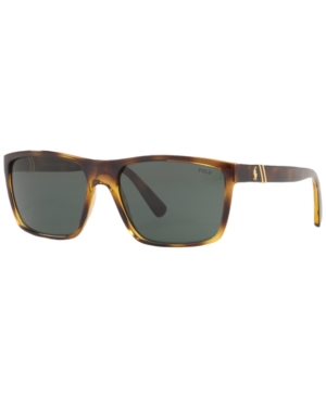 EAN 8053672851816 product image for Polo Ralph Lauren Sunglasses, PH4133 | upcitemdb.com