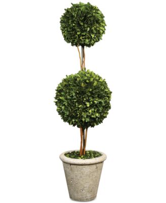Uttermost - Preserved Boxwood Two Sphere Topiary