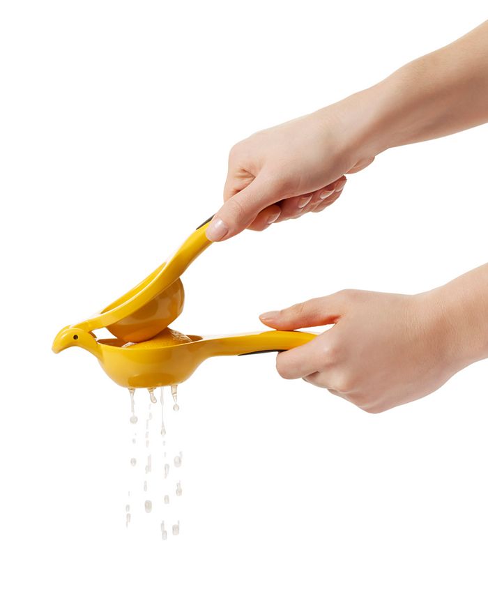 OXO Citrus Squeezer Macy's