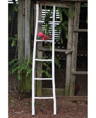  Decorative Painted Wood Ladder