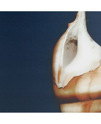 Madison Park - Ocean Seashells 4-Pc. Framed Canvas Print Set