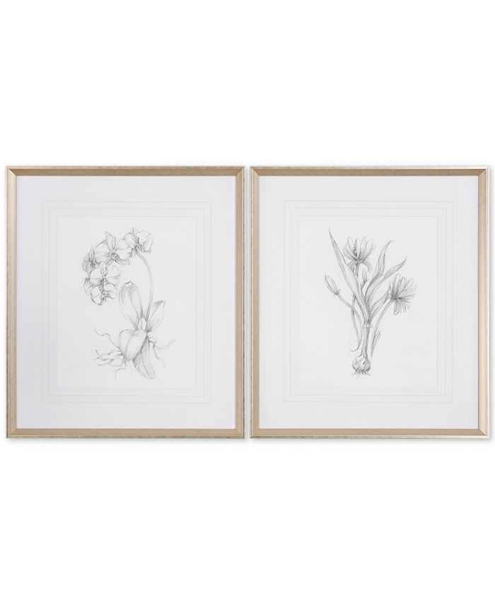 Uttermost - Botanical Sketches 2-Pc. Framed Print Wall Art Set
