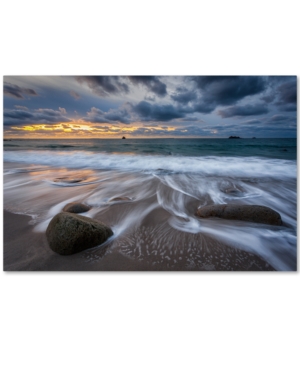 Trademark Global Mathieu Rivrin 'the Song Of Water' 30" X 47" Canvas Wall Art