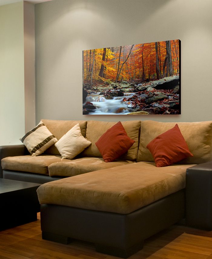Trademark Global - CATeyes 'Ultimate Truth' 16" x 24" Canvas Wall Art