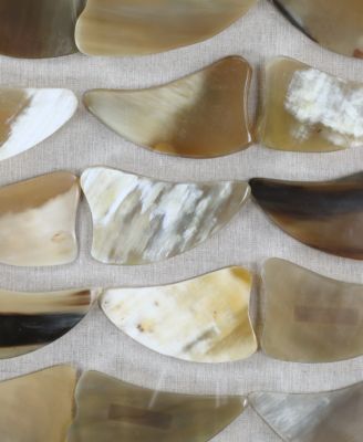 Uttermost Nadja Bone Shadow Box Wall Art