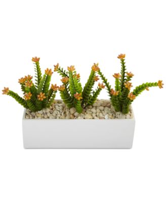 Flowering Sedum Artificial Plants in Rectangular Planter