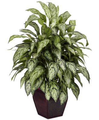 Nearly Natural - Silver Queen Artificial Plant in Decorative Planter