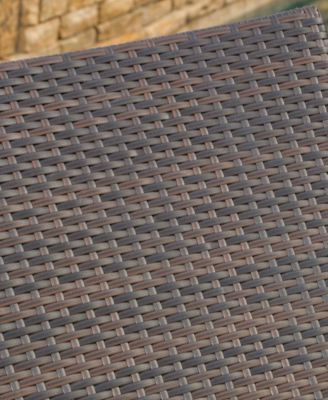 Aldin Outdoor Adjustable Lounge with Arms