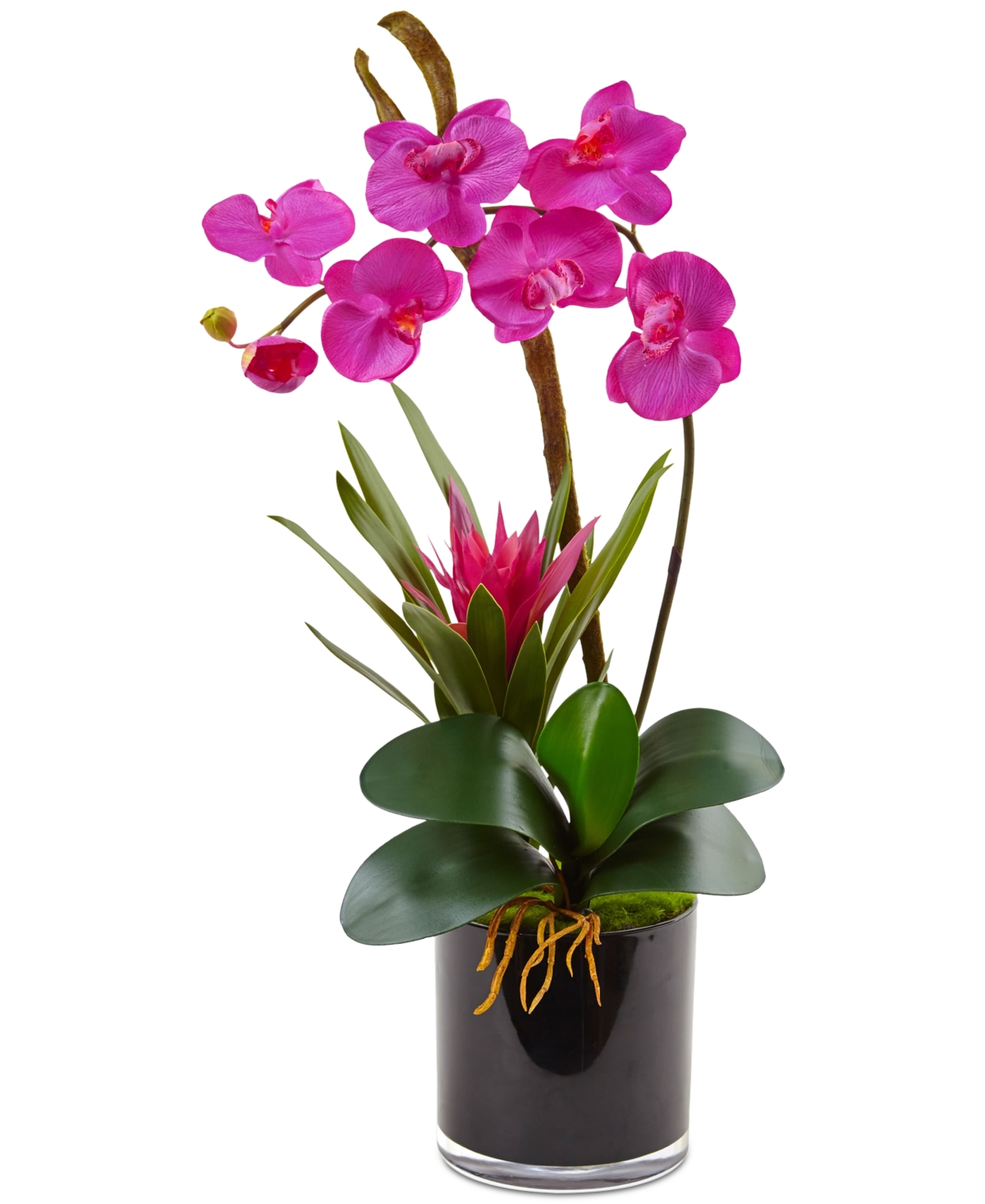 Pink Orchid & Bromeliad Artificial Arrangement in Glossy Black Cylinder Vase - Dark Pink