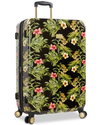 tommy bahama luggage