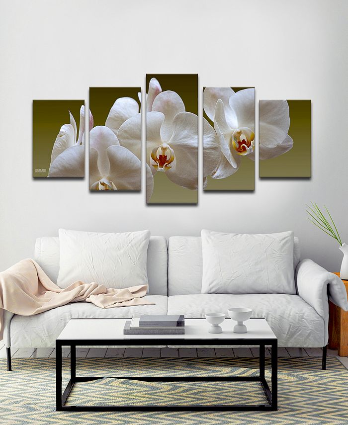 Ready2HangArt 'White Orchid' 5-Pc. Canvas Art Print Set & Reviews - All ...