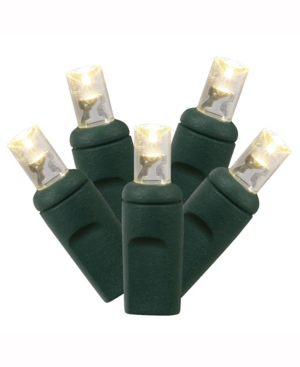 Vickerman 100 Warm White Wide Angle Led Light on Green Wire 50' Christmas Light Strand