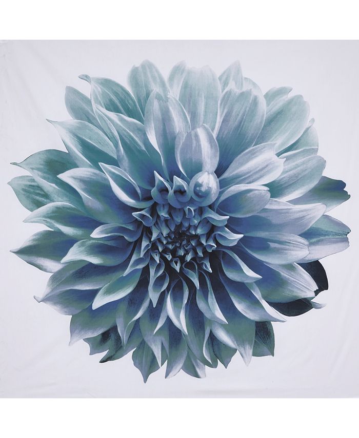 Madison Park Norah Cotton Percale Shower Curtain, 72" x 72" Macy's