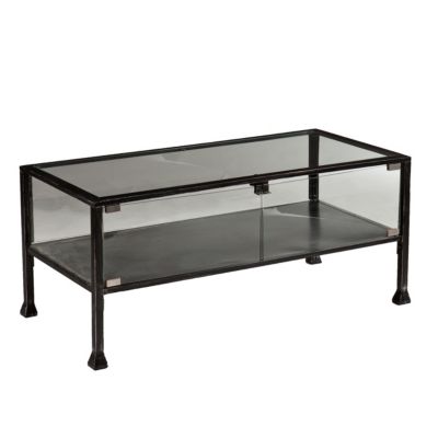 Southern Enterprises - Terrarium Display Cocktail Table, Quick Ship